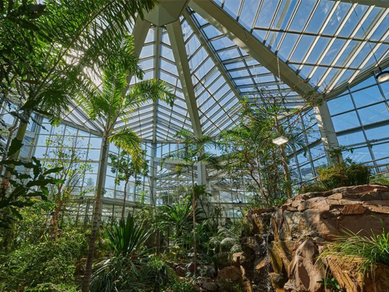 Palmengarten Botanical Garden in Frankfurt